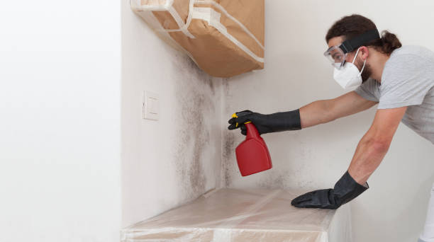Professional Black Mold Removal technician working in Roebling, NJ